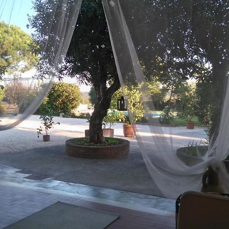 Il Gelso Di Barcuzzi Bed and Breakfast Lonato Εξωτερικό φωτογραφία