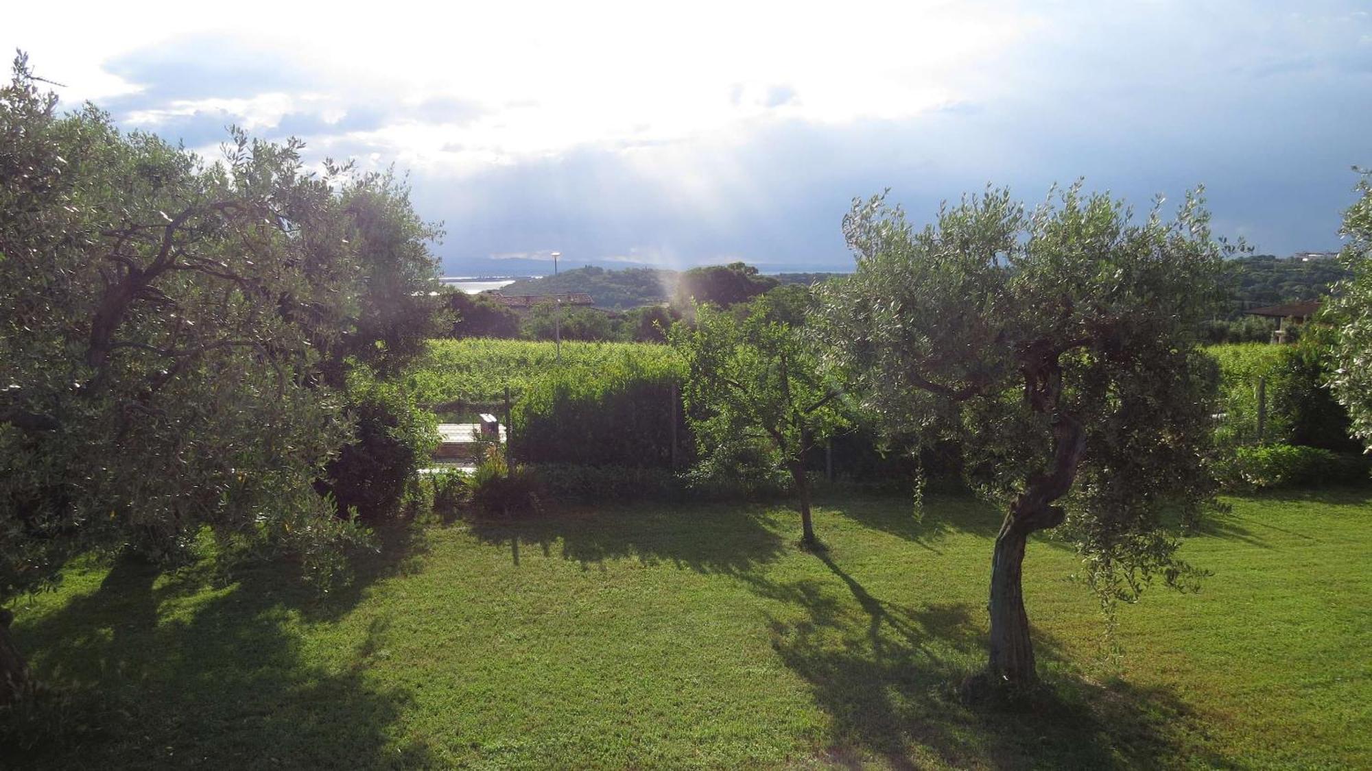 Il Gelso Di Barcuzzi Bed and Breakfast Lonato Εξωτερικό φωτογραφία
