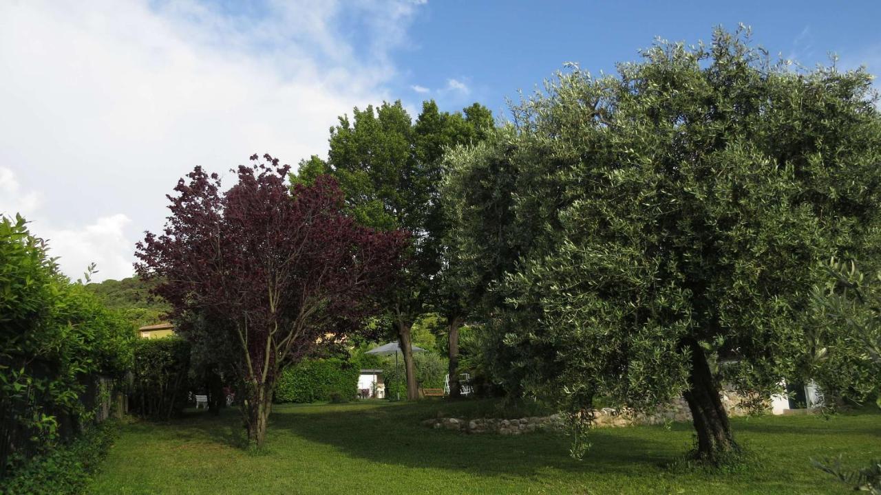 Il Gelso Di Barcuzzi Bed and Breakfast Lonato Εξωτερικό φωτογραφία