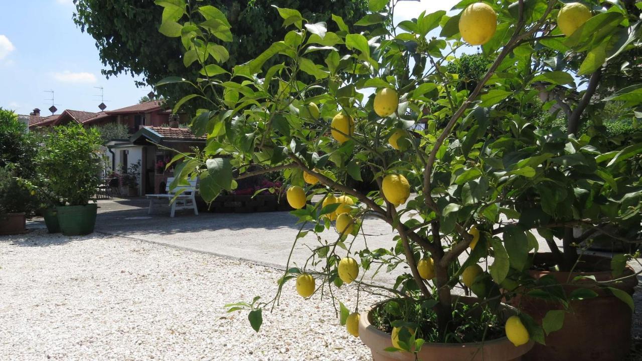 Il Gelso Di Barcuzzi Bed and Breakfast Lonato Εξωτερικό φωτογραφία