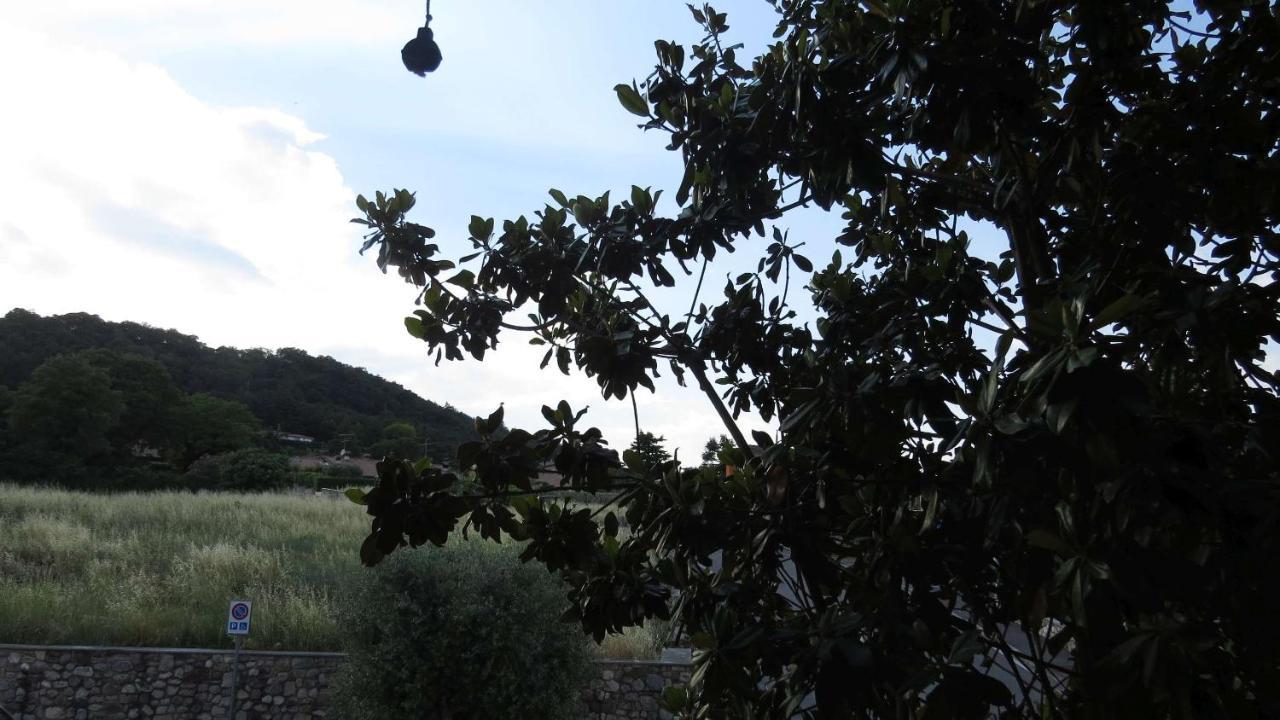 Il Gelso Di Barcuzzi Bed and Breakfast Lonato Εξωτερικό φωτογραφία