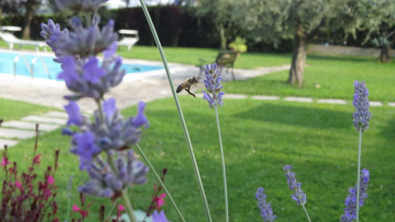 Il Gelso Di Barcuzzi Bed and Breakfast Lonato Εξωτερικό φωτογραφία