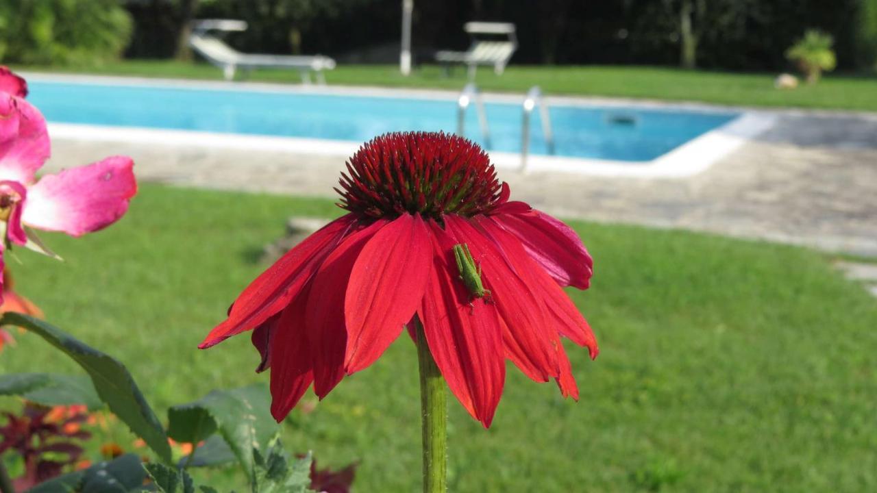 Il Gelso Di Barcuzzi Bed and Breakfast Lonato Εξωτερικό φωτογραφία